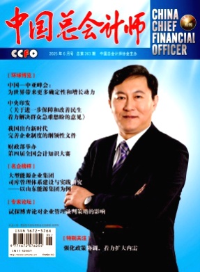 中国总会计师杂志